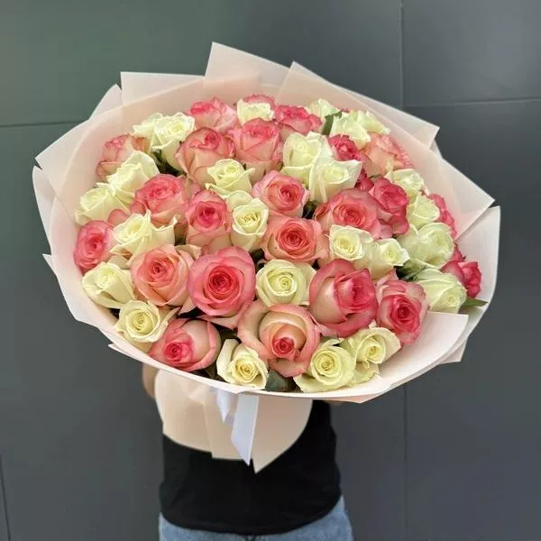 51 бело-розовая роза